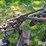 john-deere-55-image-19