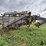 mccormick-deering-no-22-s150d-threshing-machine-image-4