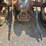 ford-851-image-12