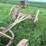 wooden-wheel-running-gear-image-11