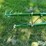 john-deere-pull-type-single-shank-ripper-image-9