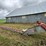 kewanee-corn-crib-drag-elevator-image-8