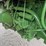 1991-john-deere-4955-image-19
