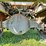 2000-sterling-dry-tender-truck-(gp11245,-unit-123831)-image-42