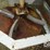 dry-spreader-(pz13756,-unit-dfs6003)-image-28