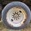 2016-kbh-fertilizer-tender-trailer---isuzu-diesel,-hydraulic-system,-rear-discharge-image-26
