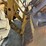 1978-caterpillar-966c-image-6
