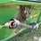 2000-john-deere-930f-image-14