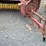new-holland-273-image-25