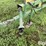 1977-john-deere-38-image-9