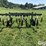 john-deere-1600-image-6