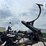 case-ih-ecolo-tiger-730b-image-19