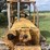 caterpillar-d6-image-15
