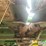 2004-john-deere-894-image-15