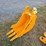 caterpillar-12-image-1