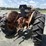 ford-961-image-4