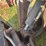 bobcat-t190-image-6