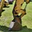 deere-410g-image-6