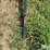 john-deere-630f-image-9