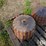 case-ih-330-image-5