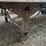2008-great-dane-28'-x-102"-image-12