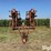 allis-chalmers-1400-image-2