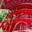 case-ih-7120-image-18