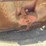 bush-hog-2515-image-12