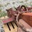 international-end-gate-seeder-image-14