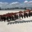 bush-hog-145-image-3