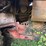 case-ih-1680-image-4