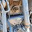 2016-kubota-bx25d-image-6