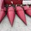 2009-case-ih-3408-image-14