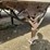 2013-great-dane-53'-x-102"-image-12