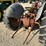 ford-8n-image-9