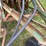 john-deere-9-image-12