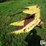 john-deere-2rw-image-8