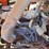 2016-kubota-bx25d-image-10