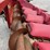 2010-case-ih-3208-image-20