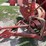 new-holland-353-image-9