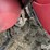 2010-case-ih-3408-image-15