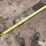 caterpillar-t50b-image-12