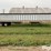 1992-cornhusker-grain-image-4