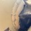 case-1450b-image-21