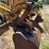 2010-caterpillar-305c-cr-image-6