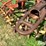 krause-3755-image-13