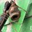 john-deere-653a-image-18