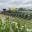 2013-john-deere-dr24-image-5