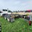 2016-peterbilt-365-image-3