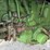 1972-john-deere-4630-image-30